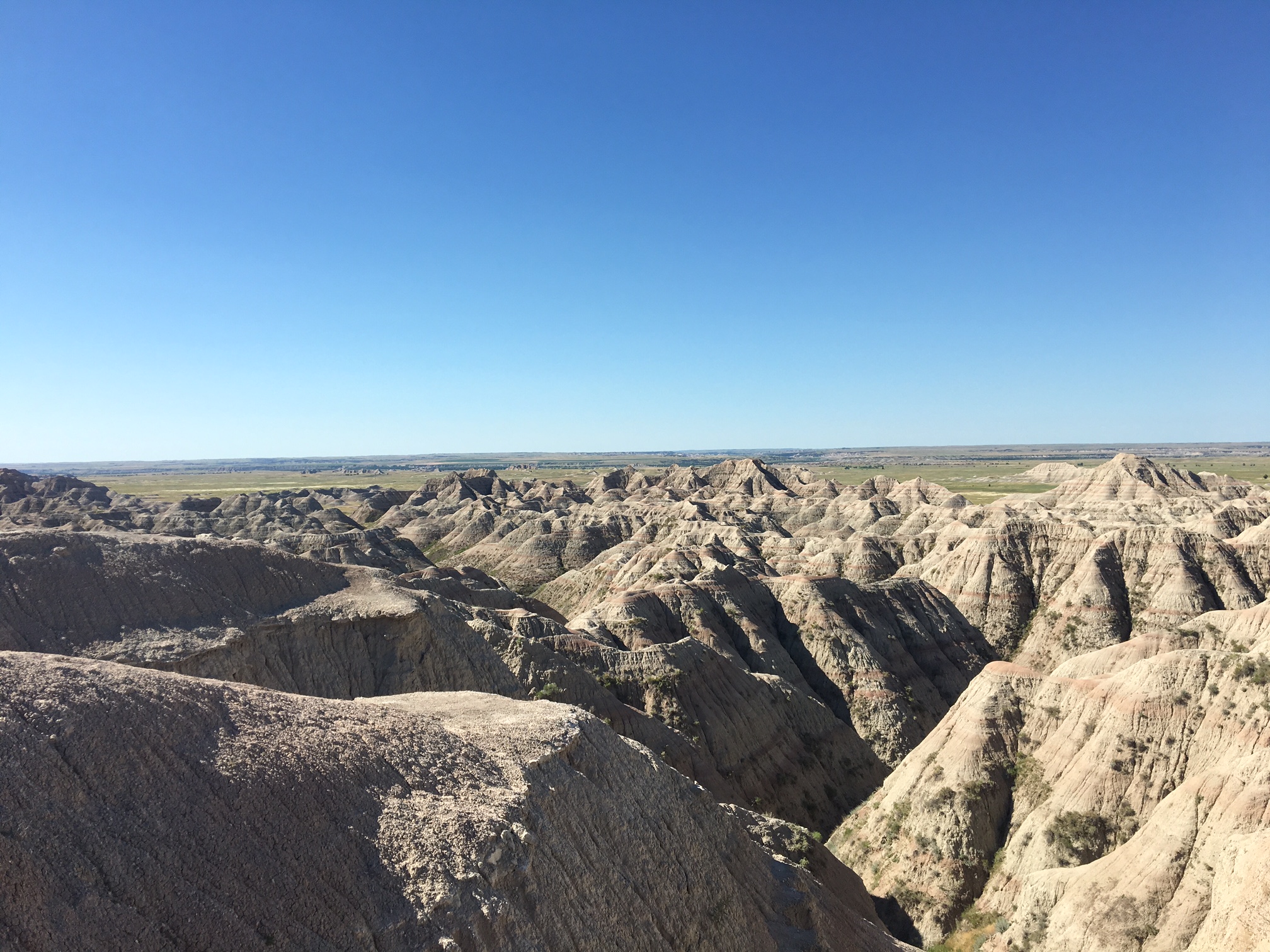 Fossil Find In Badlands National Park